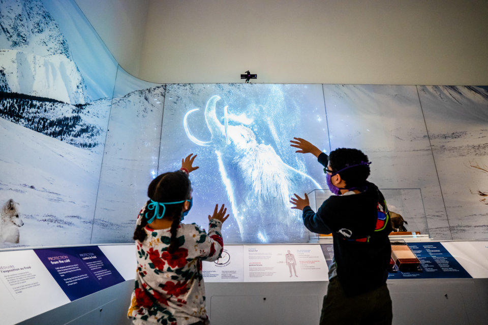 Moment_Factory_Cultural_and_Educational_Canadian_Museum_of_Nature_JON07122-WS-1-960x640